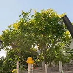 Villa Chimenea 16 Nerja