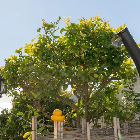Villa Chimenea 16 Nerja
